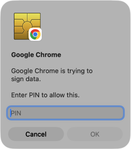 CAC Password